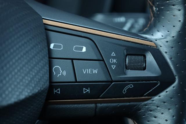 CUPRA Formentor 2.0 TDI SEDILI SPORTIVI