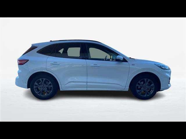 Ford Kuga 1.5 EcoBlue 120cv ST-Line 2WD Auto