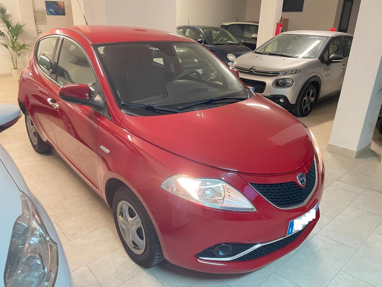Lancia Y Ypsilon 1.2 Silver Tagliandata Distribuzione Neopatentati