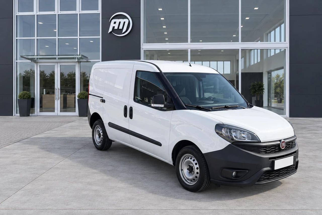 Fiat Doblo cargo 1.3 mjt 95cv CH1 Business S&S