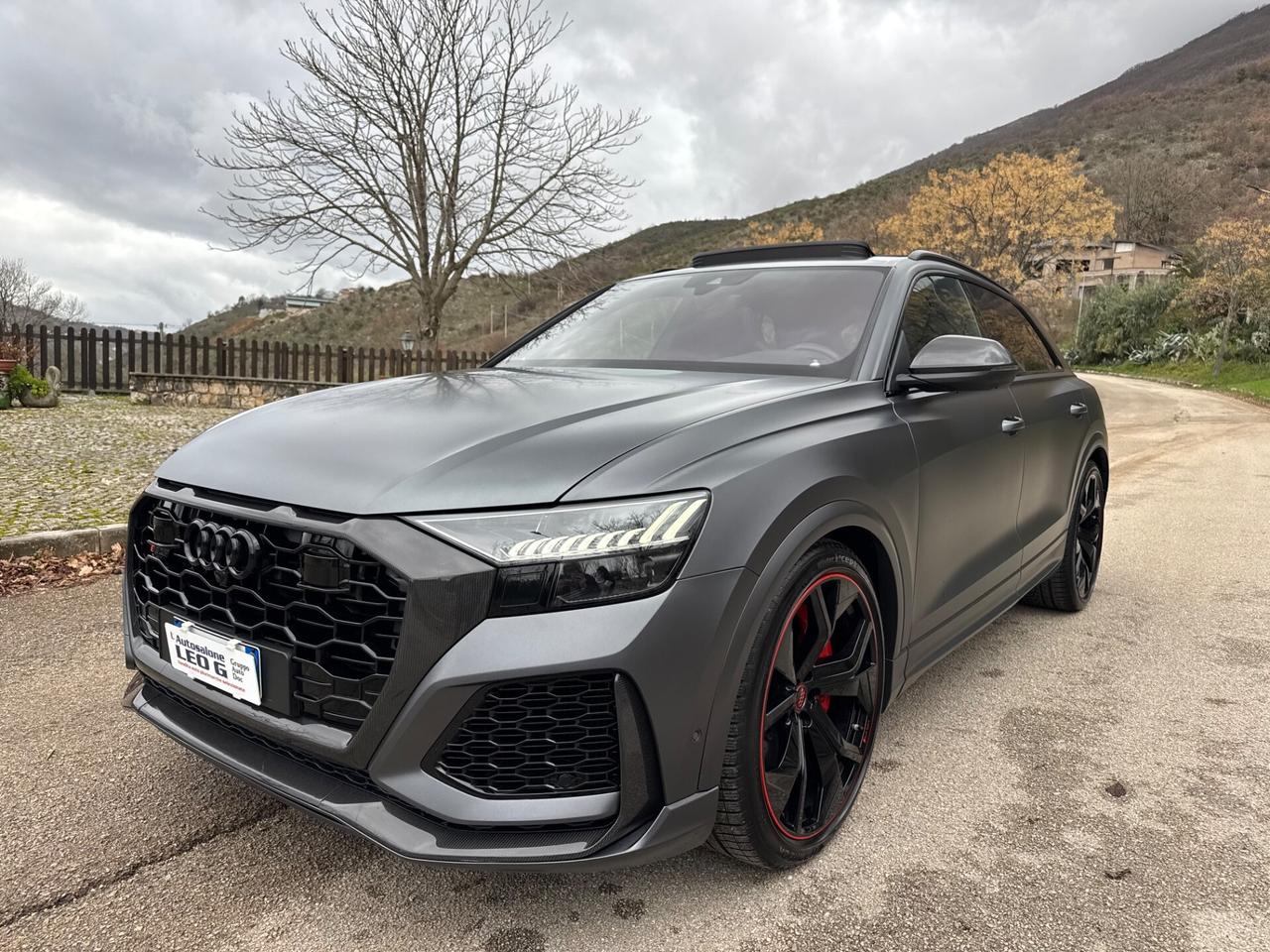 Audi Q8 RS TFSI V8 quattro tiptronic
