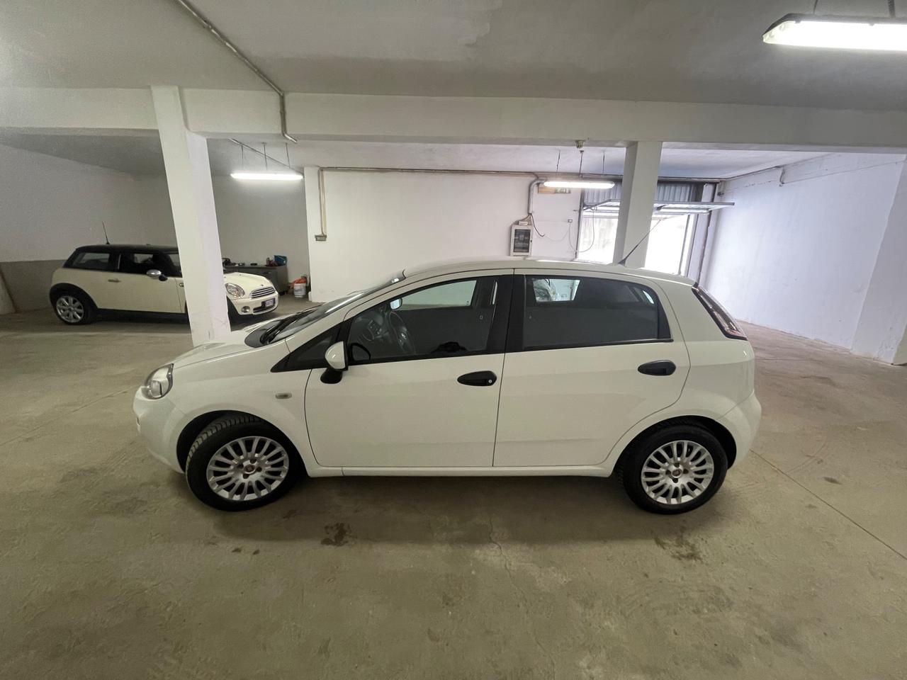 Fiat Punto 1.3 MJT II 75 CV 5 porte Street