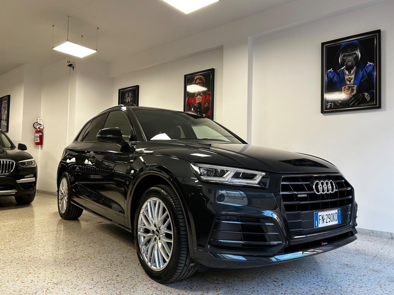 Audi Q5 2.0 TDI quattro S tronic line plus tetto apribile