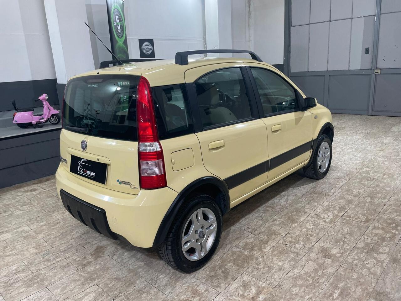 Fiat Panda 1.2 Climbing Natural Power