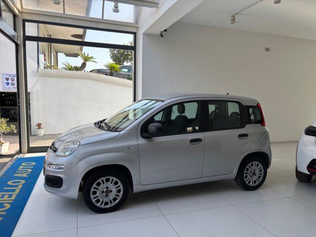 FIAT Panda 1.2 EasyPower GPL tua da ?99,00 MENSILI