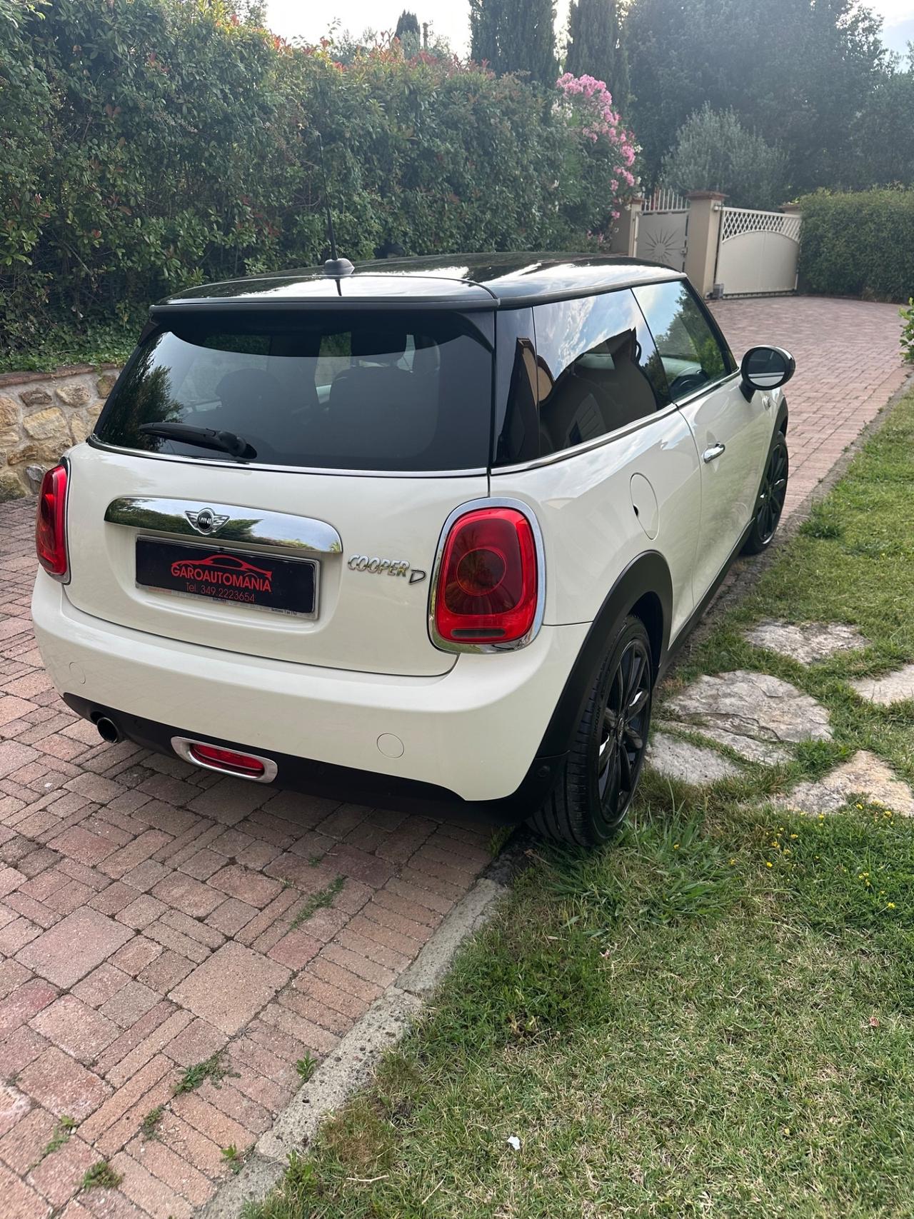 Mini 1.5 One D
