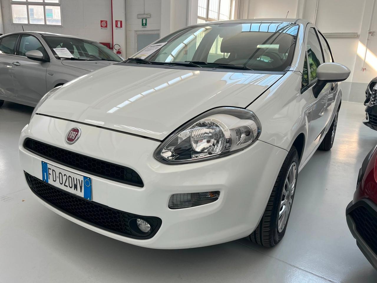FIAT Punto 4ª serie Punto 1.4 8V 5 porte Easyp...