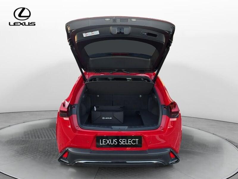 Lexus UX LEXUS UX 300h 4WD F-Sport