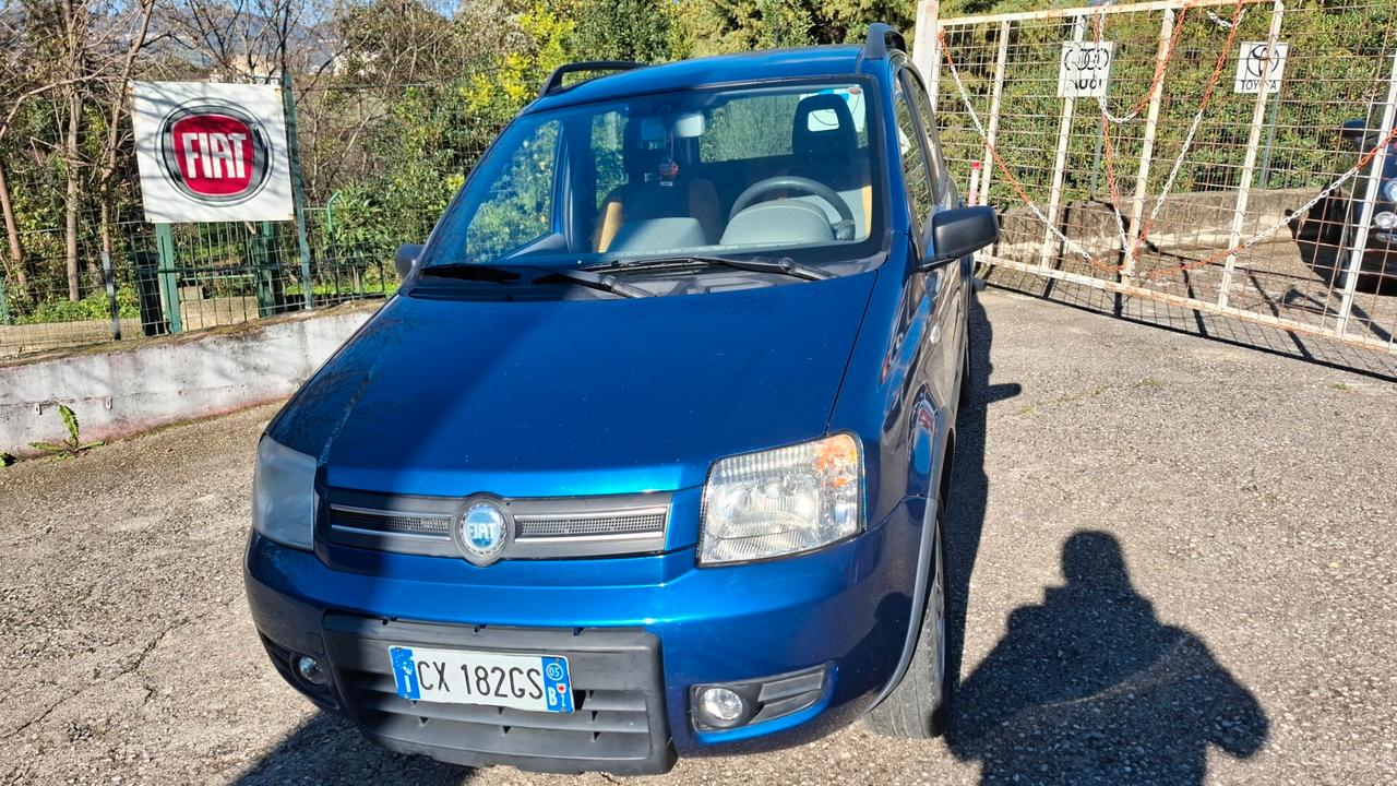 Fiat Panda 1.2 4x4