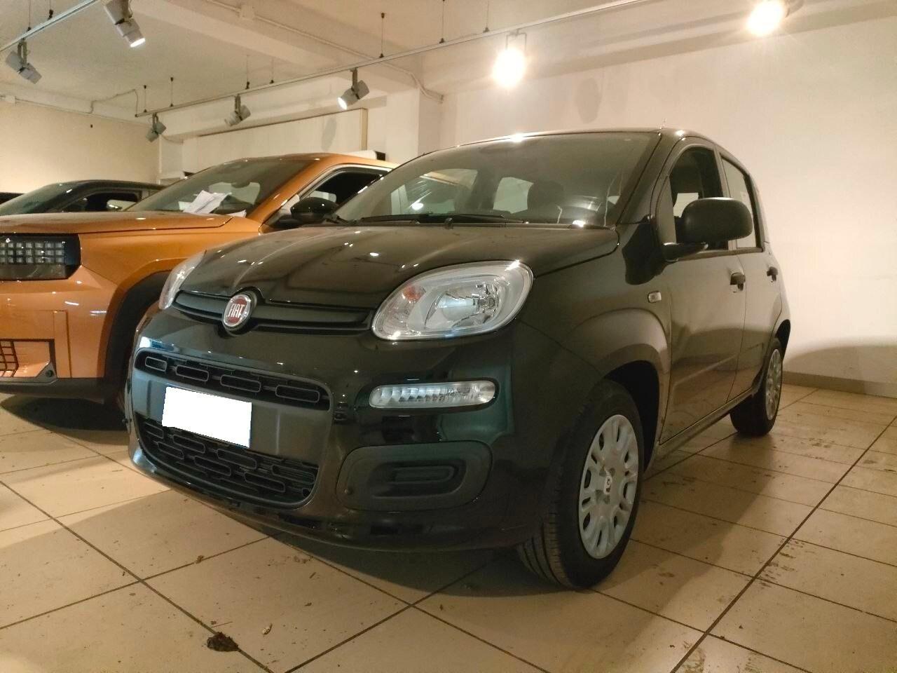 FIAT Pandina Pandina 1.0 FireFly 65 CV Hybrid Pop