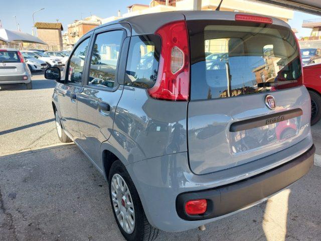 FIAT Panda 1.0 FireFly S&S Hybrid Uniprò Clima Fatturab.
