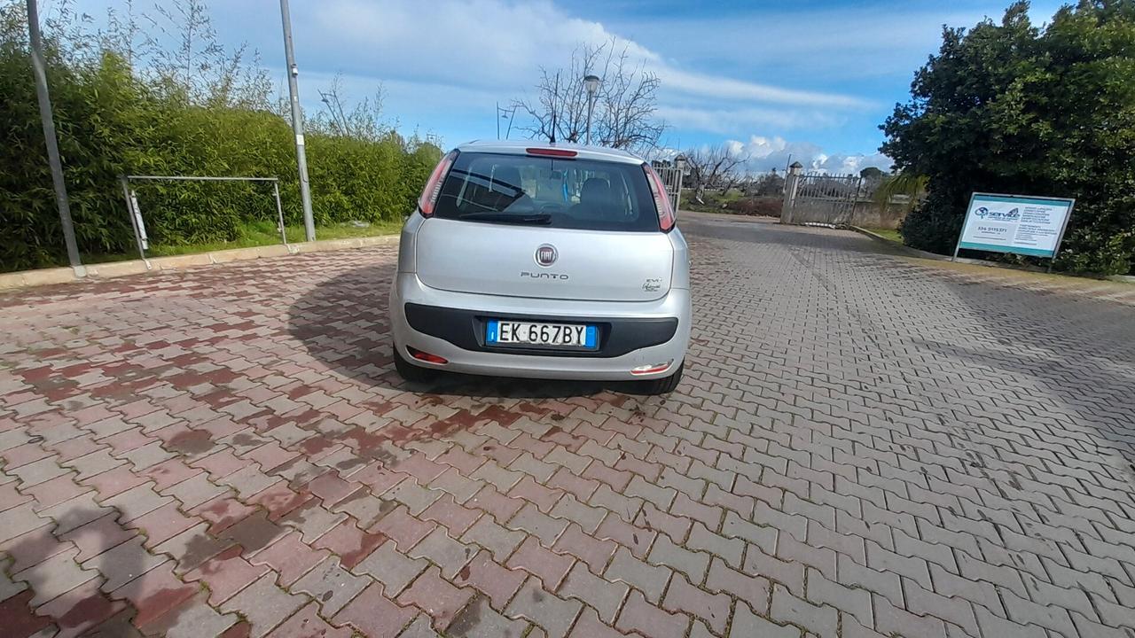 Fiat Punto Evo 1.3 Mjt 75 CV DPF 5 porte S&S Dynamic