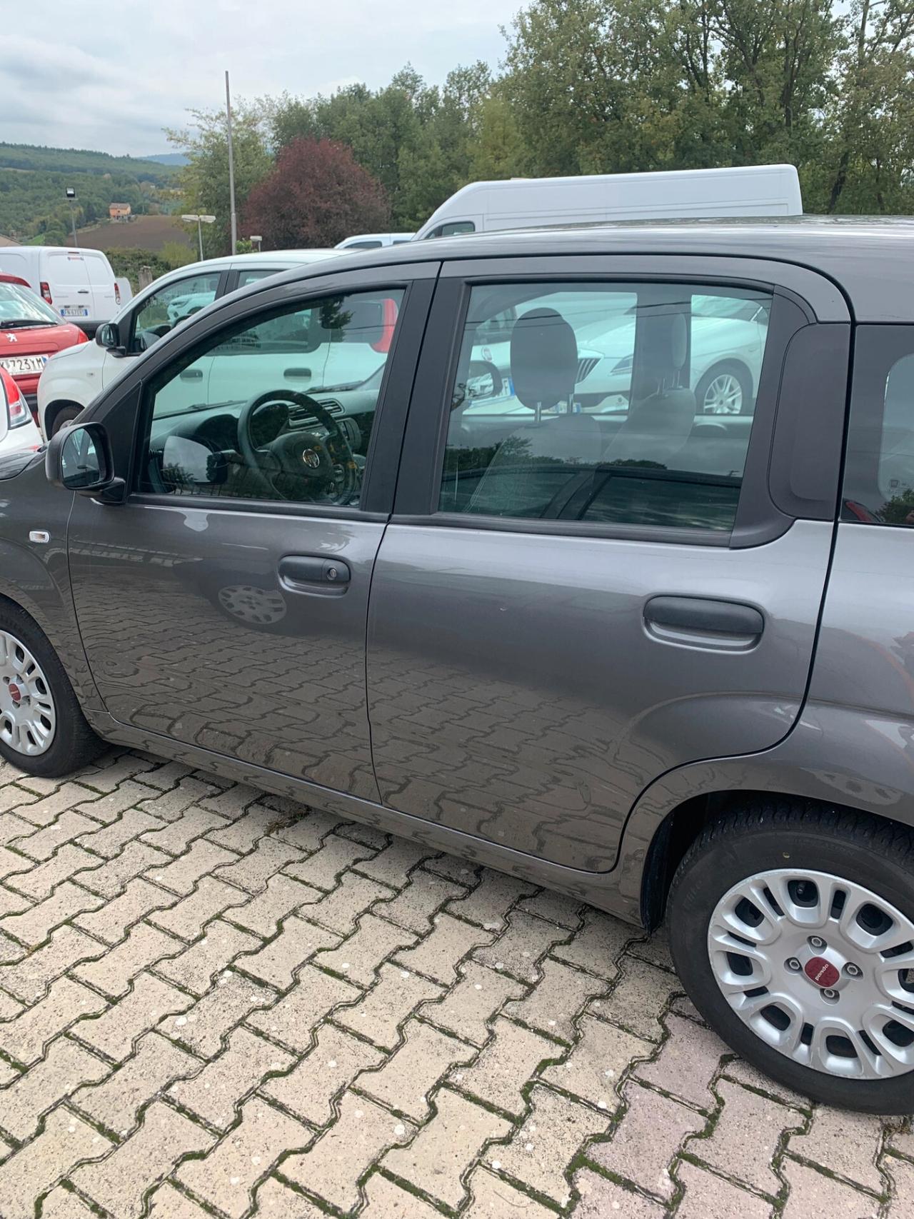 FIAT PANDA 1.0 FireFly 70CV S&S HYBRID 2022