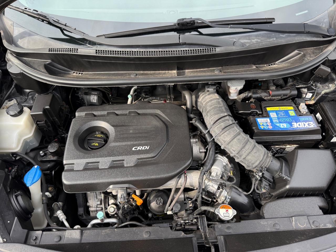 Kia Rio 1.1 CRDi 5p. FULL Optional