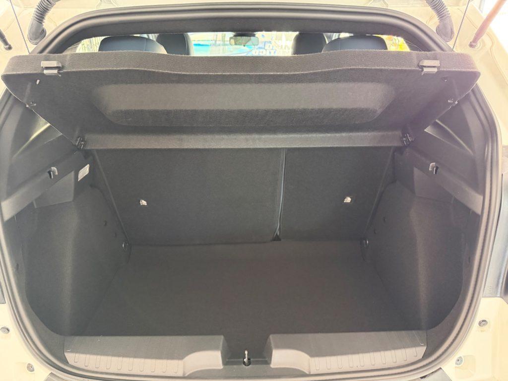 Fiat Grande Panda 1.2 Hybrid 110 CV S&S Icon tua da €249,00 mensili