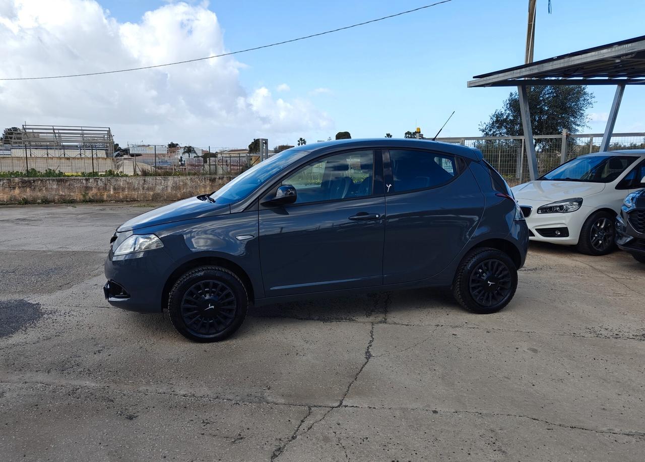 Lancia Ypsilon 0.9 TwinAir 85 CV 5 porte Metano Ecochic Elefantino