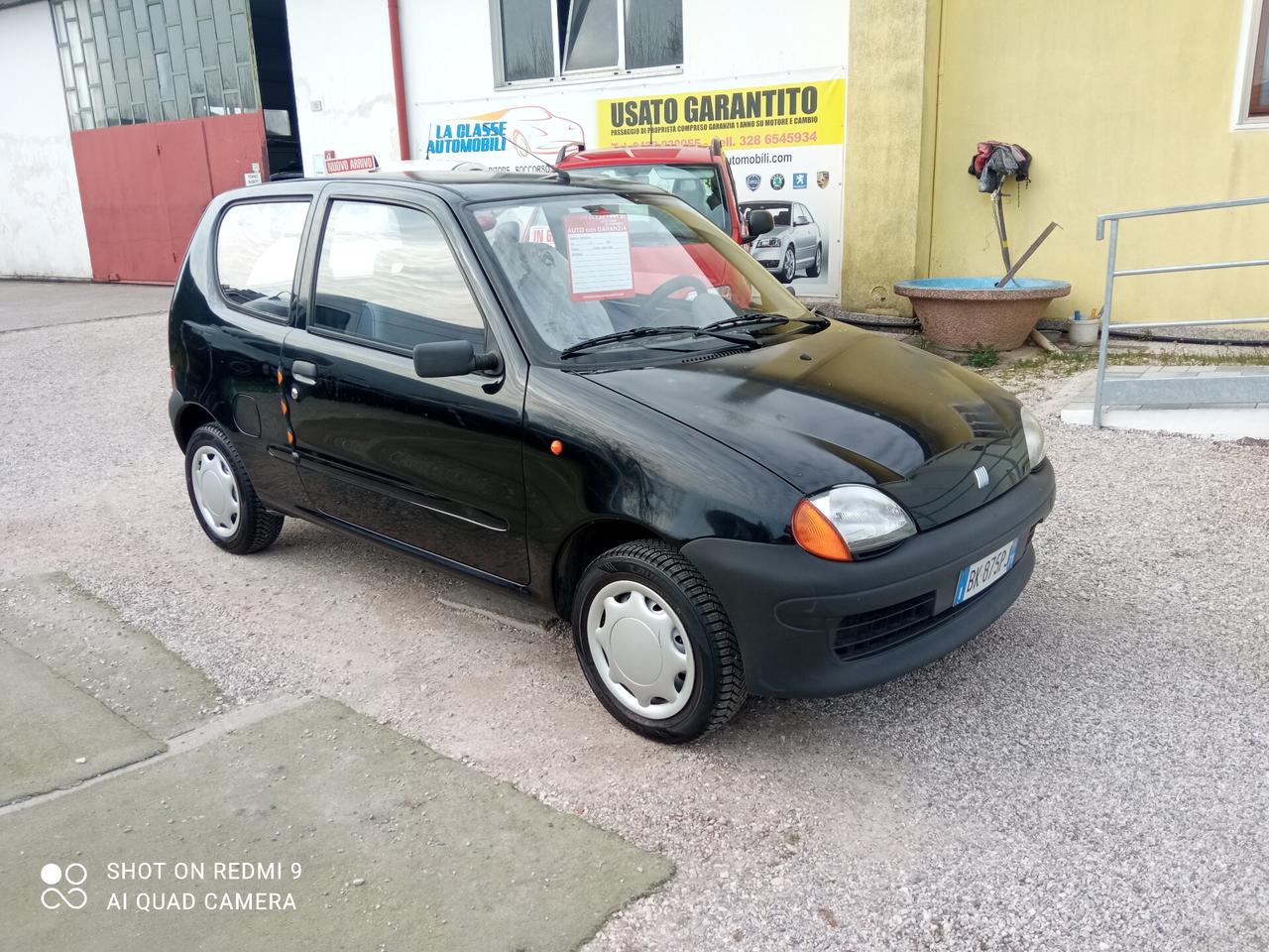 Fiat Seicento 900i cat Young