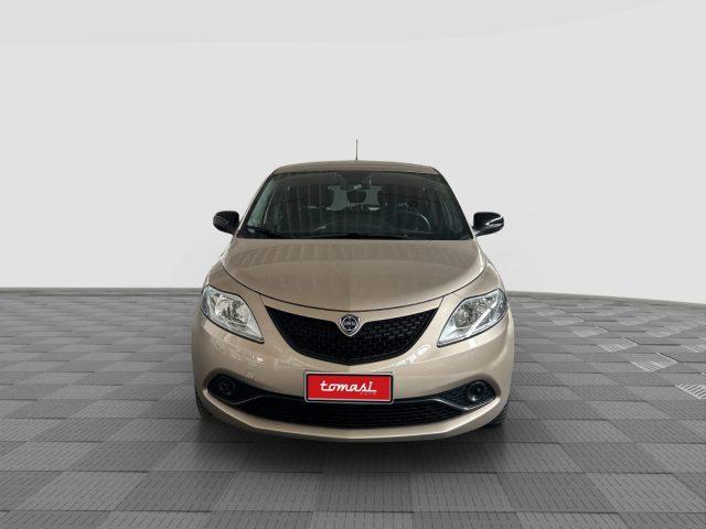 LANCIA Ypsilon Ypsilon 1.2 69 CV 5 porte S&S Gold