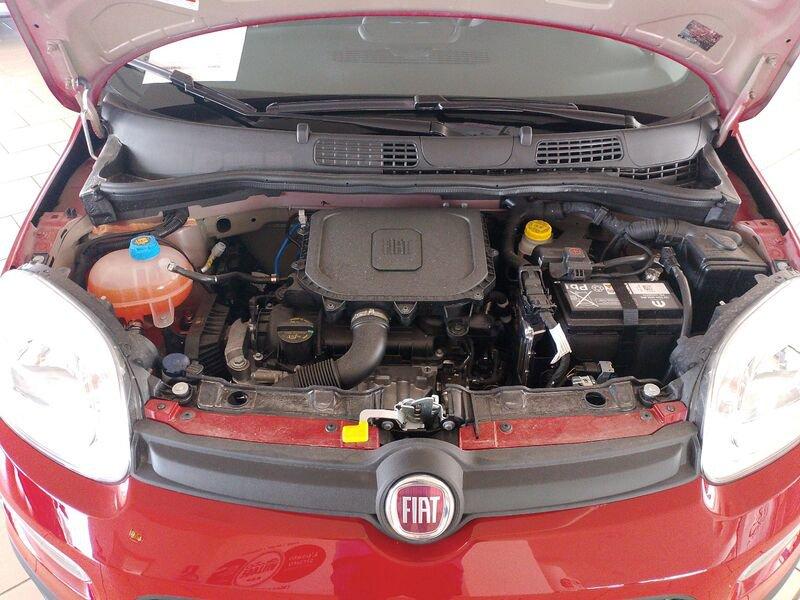 FIAT Panda NEW My25 1.0 70cv Hybrid Panda