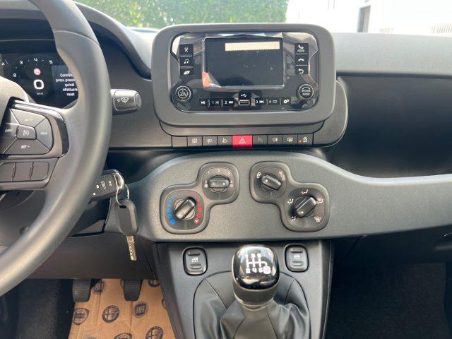 FIAT Panda 1.0 FireFly S&S Hybrid Icon tua da ?149,,00