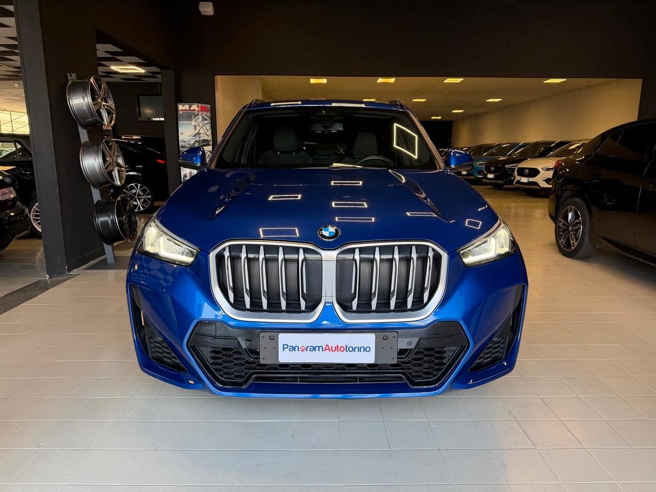 BMW X1 (U11) X1 xDrive 20d Msport