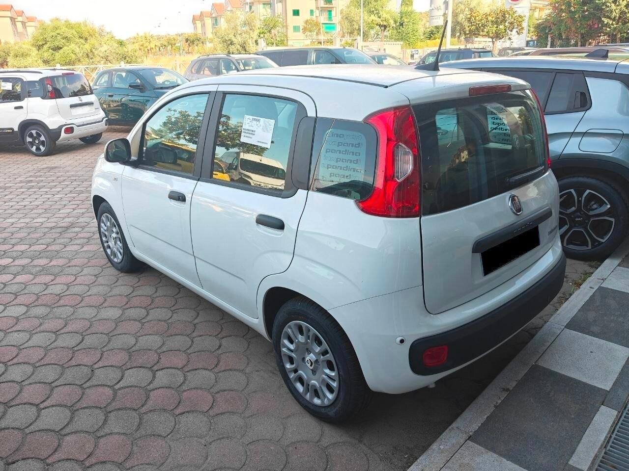 FIAT Pandina Pandina 1.0 FireFly 65 CV Hybrid Icon