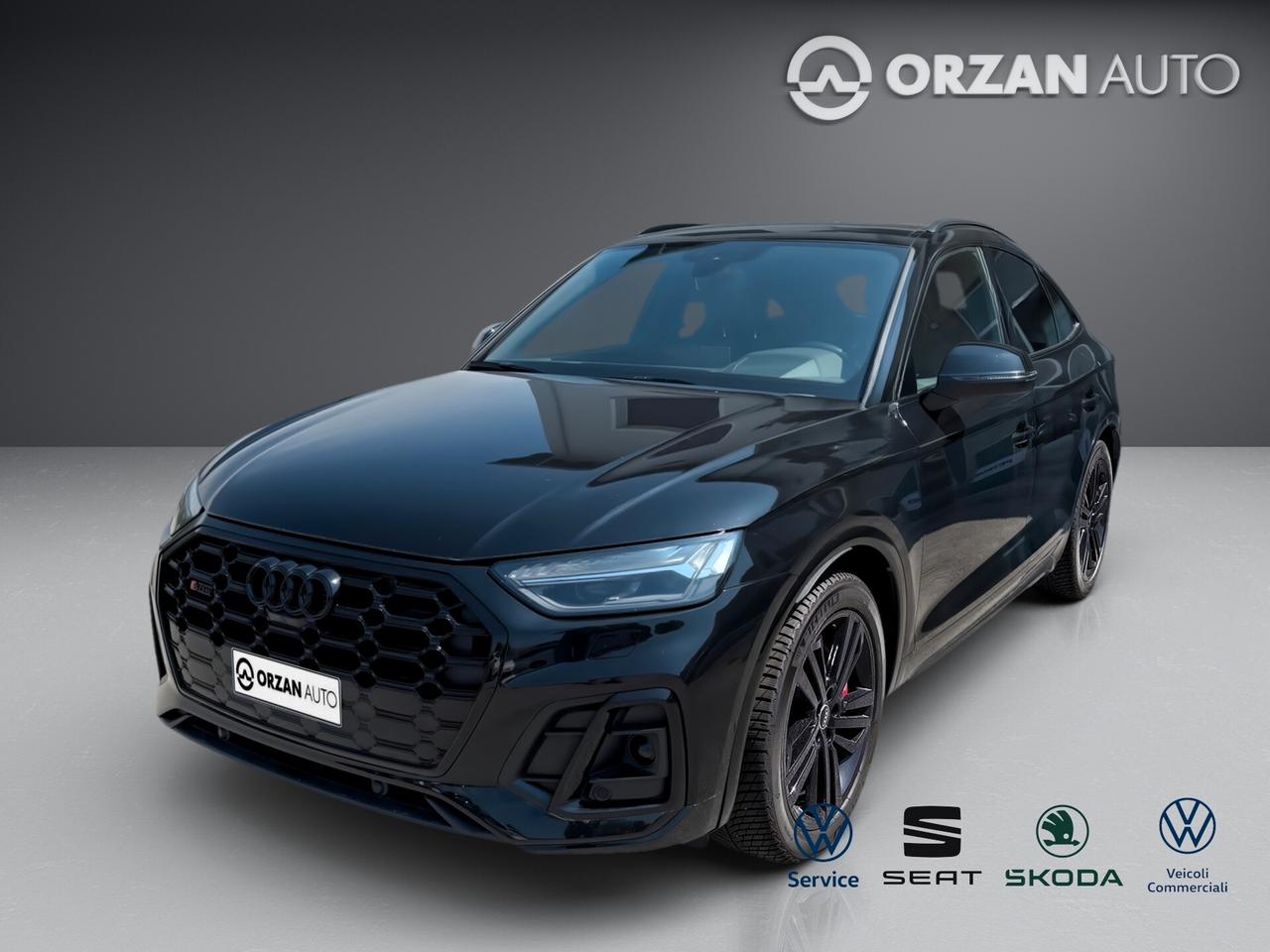 Audi Q5 SQ5 SPB TDI quattro tiptronic VENDITE 3491558563 - 3478673115