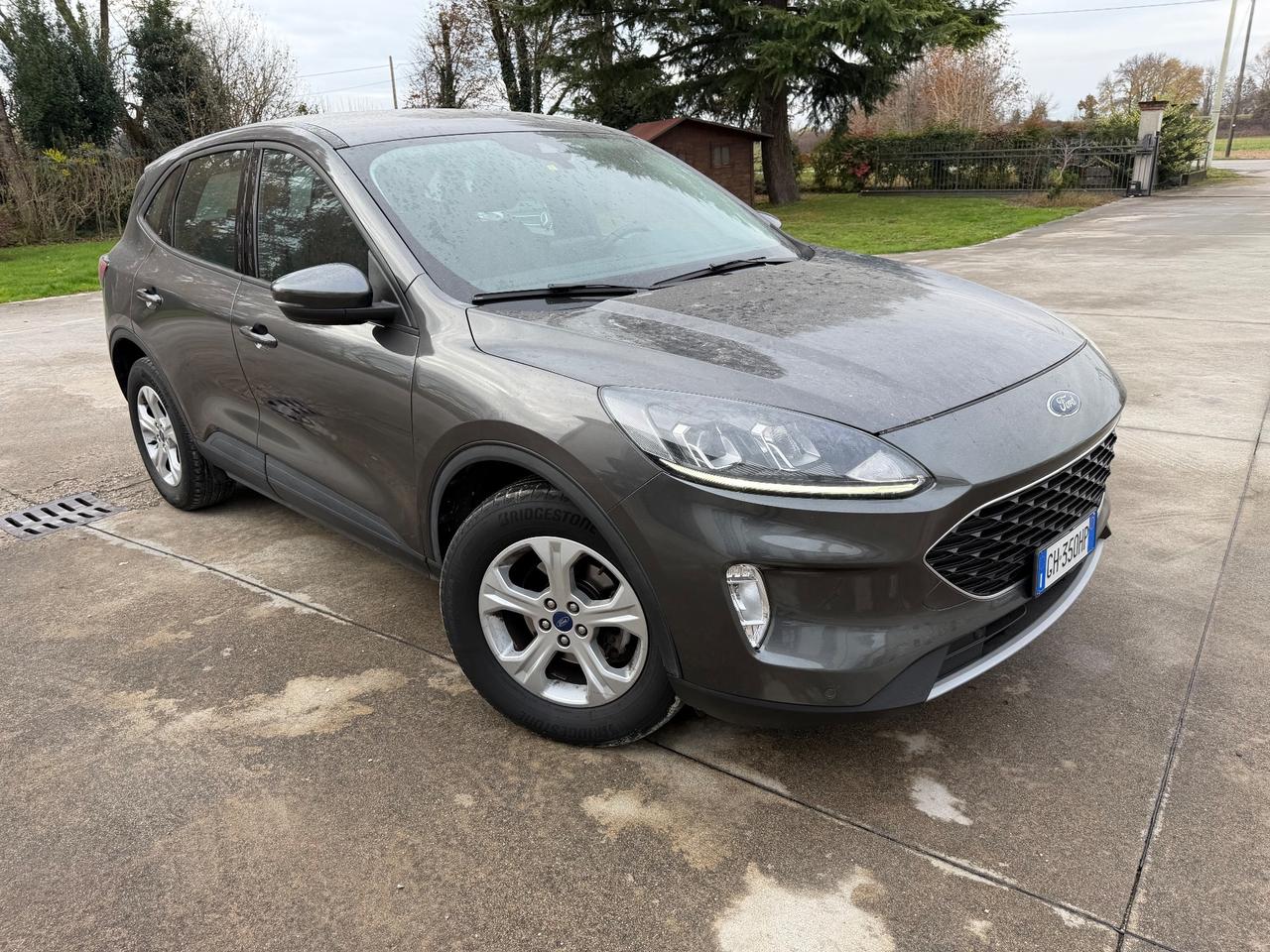 Ford Kuga 1.5 EcoBlue 120 CV aut. 2WD Titanium Business