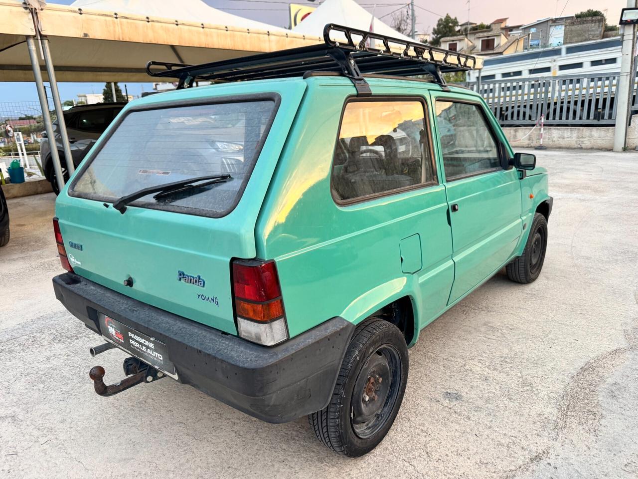 Fiat Panda 1100 i.e. cat Young