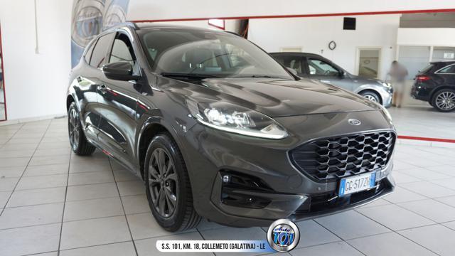 FORD Kuga 1.5 EcoBlue 120 CV aut. 2WD ST-Line