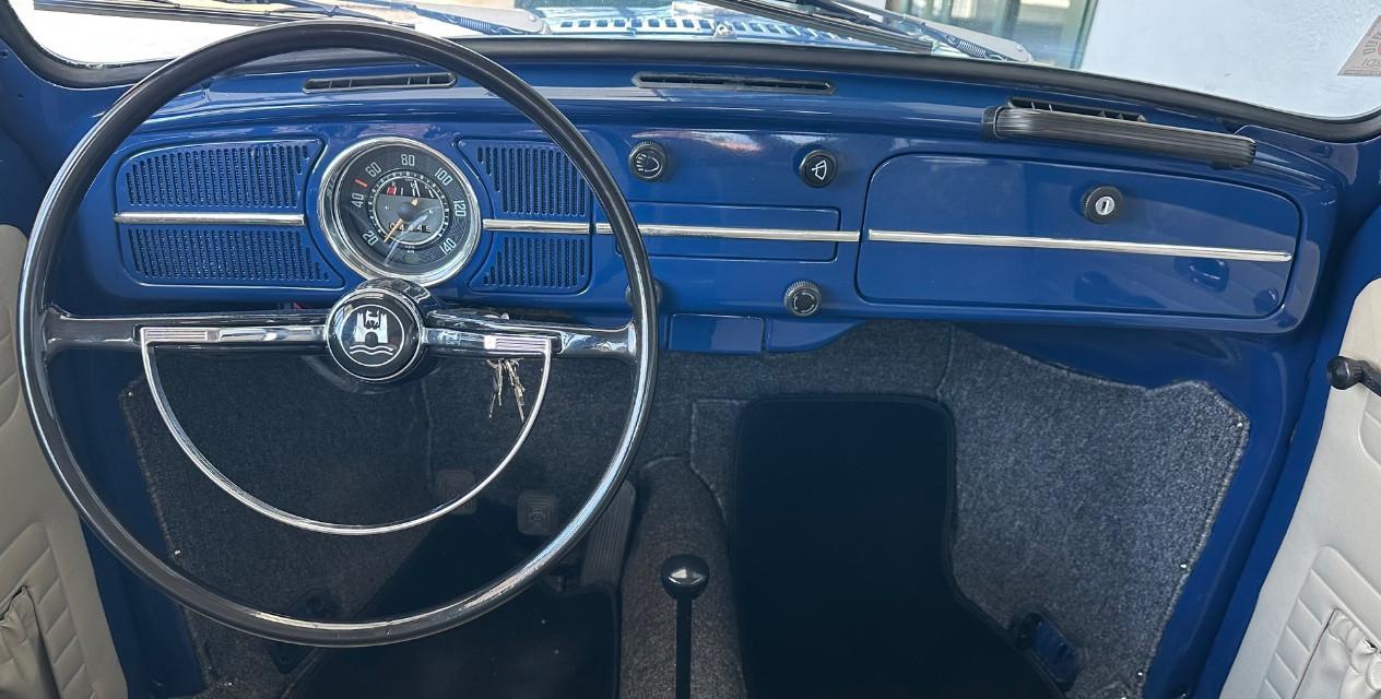 Volkswagen Maggiolino