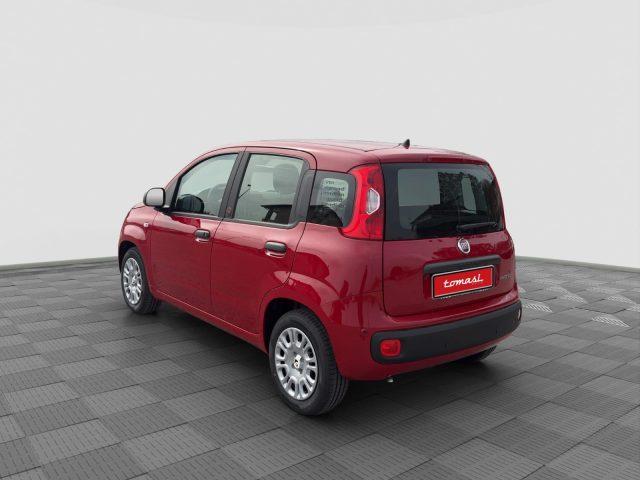 FIAT Panda Pandina 1.0 FireFly 65 CV Hybrid Pop