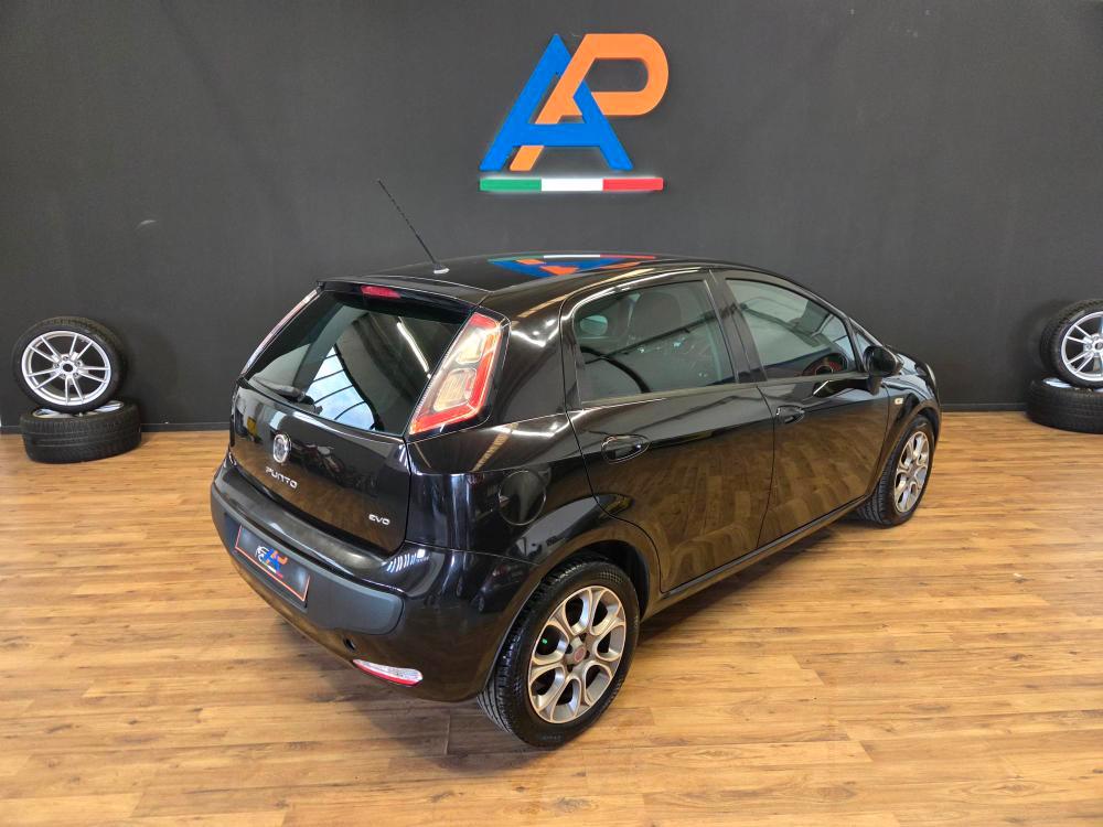 Fiat Punto Evo 5 Porte Punto Evo 5p 1.3 mjt Dynamic s&s 75cv dpf