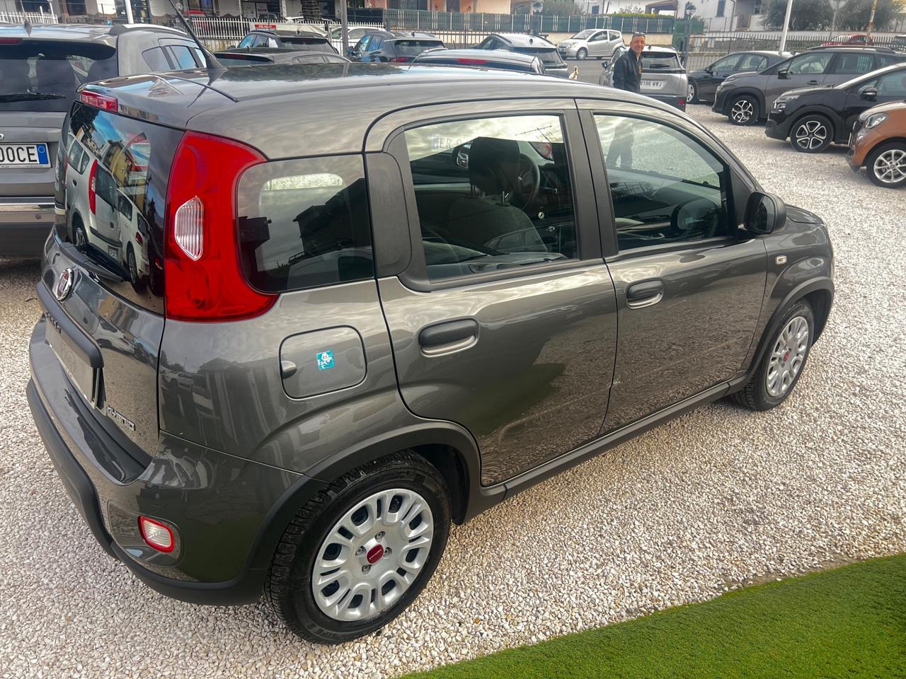 Fiat Panda 1.0 FireFly S&S Hybrid