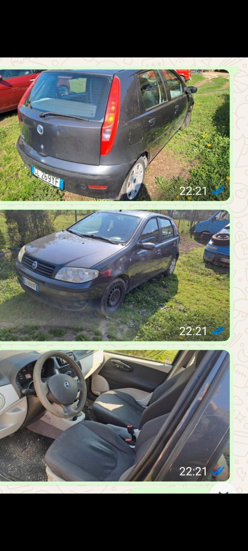 Fiat Punto 1.2i cat 5 porte EL