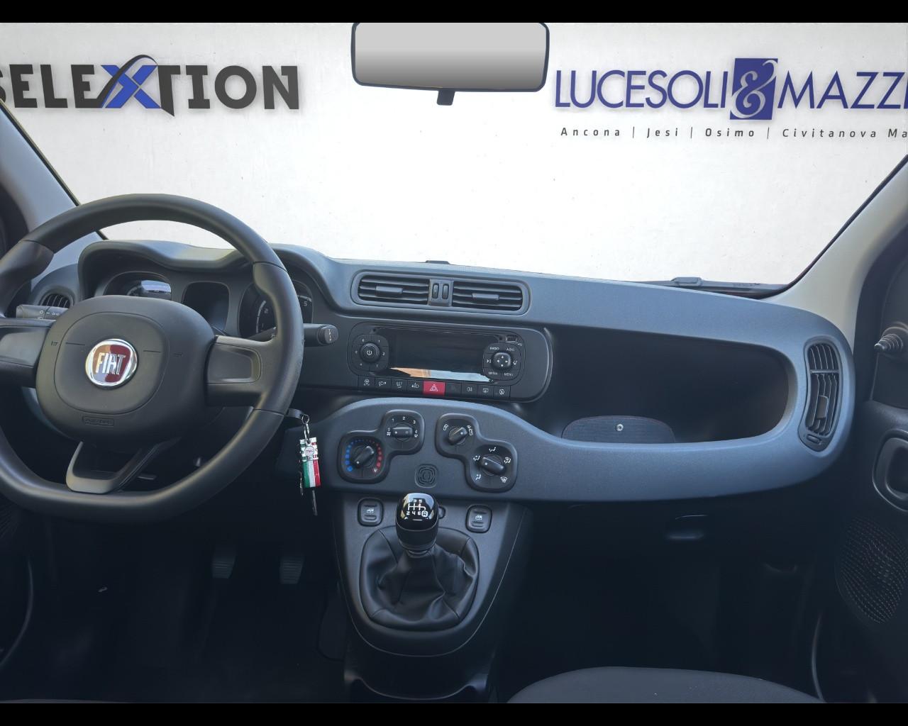 FIAT PANDA - Panda 1.0 FireFly S&S Hybrid Easy