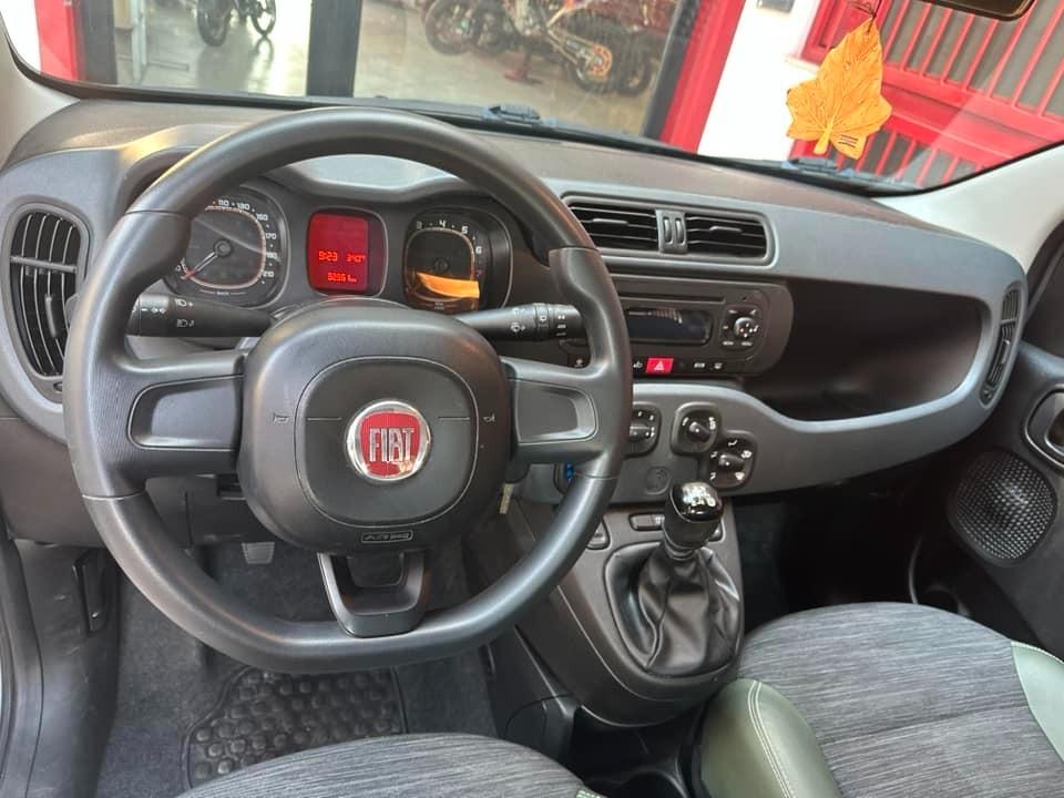 Fiat Panda 1.2 ALLESTIMENTO 4X4 36 MESI DI GARANZIA