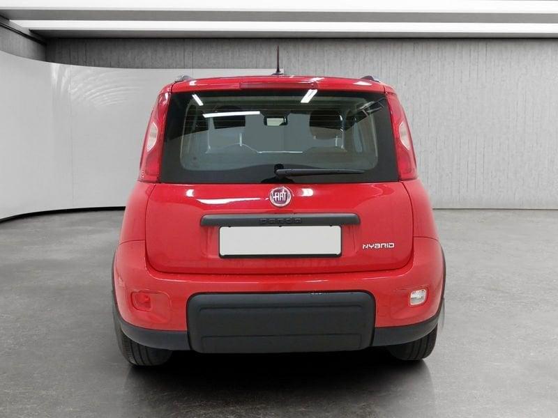 FIAT Panda 1.0 firefly hybrid Sport s&s 70cv