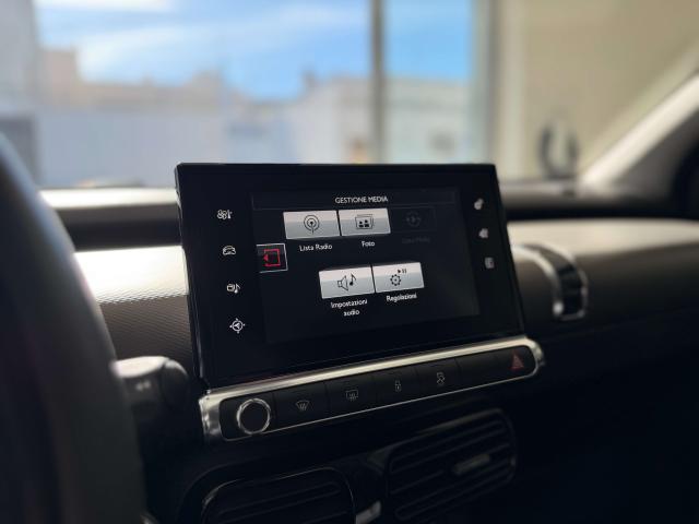 Citroen C4 Cactus 1.6 bluehdi Shine 100cv