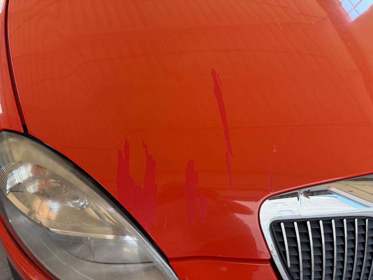Lancia Ypsilon 1.3 Multijet 16V Momo Design