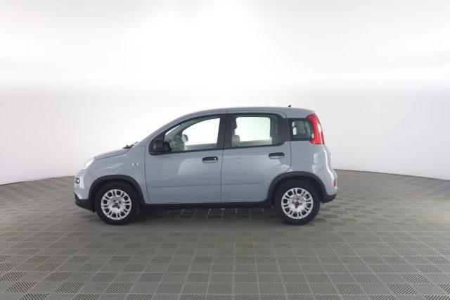 FIAT Panda Panda 1.0 FireFly Hybrid City Life