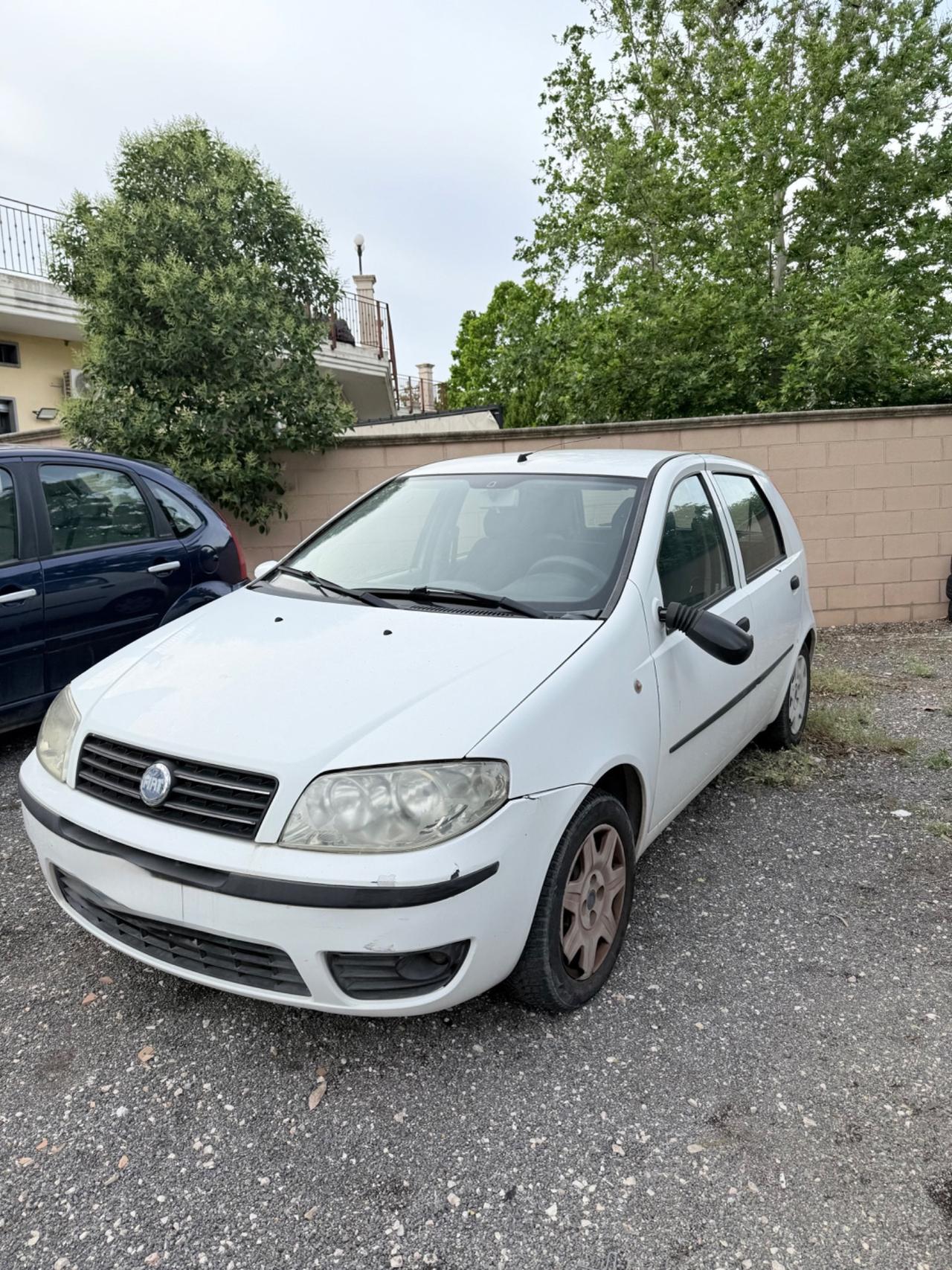 Fiat Punto 1.2 5 porte Actual