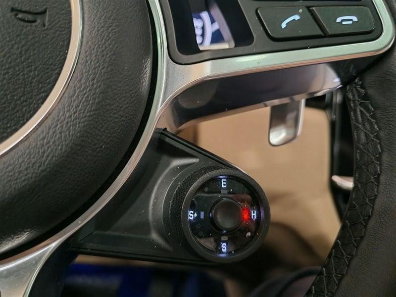 Porsche Cayenne Cayenne 3.0 V6 E-Hybrid Platinum Edition
