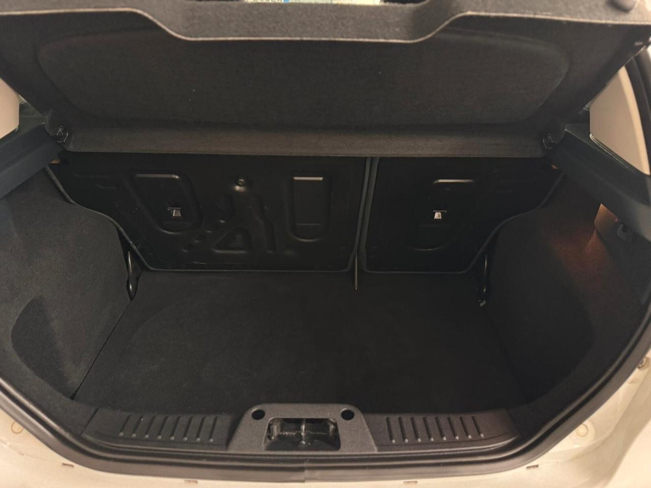 Ford Fiesta 1.4 TDCi 68CV 5 porte Titanium