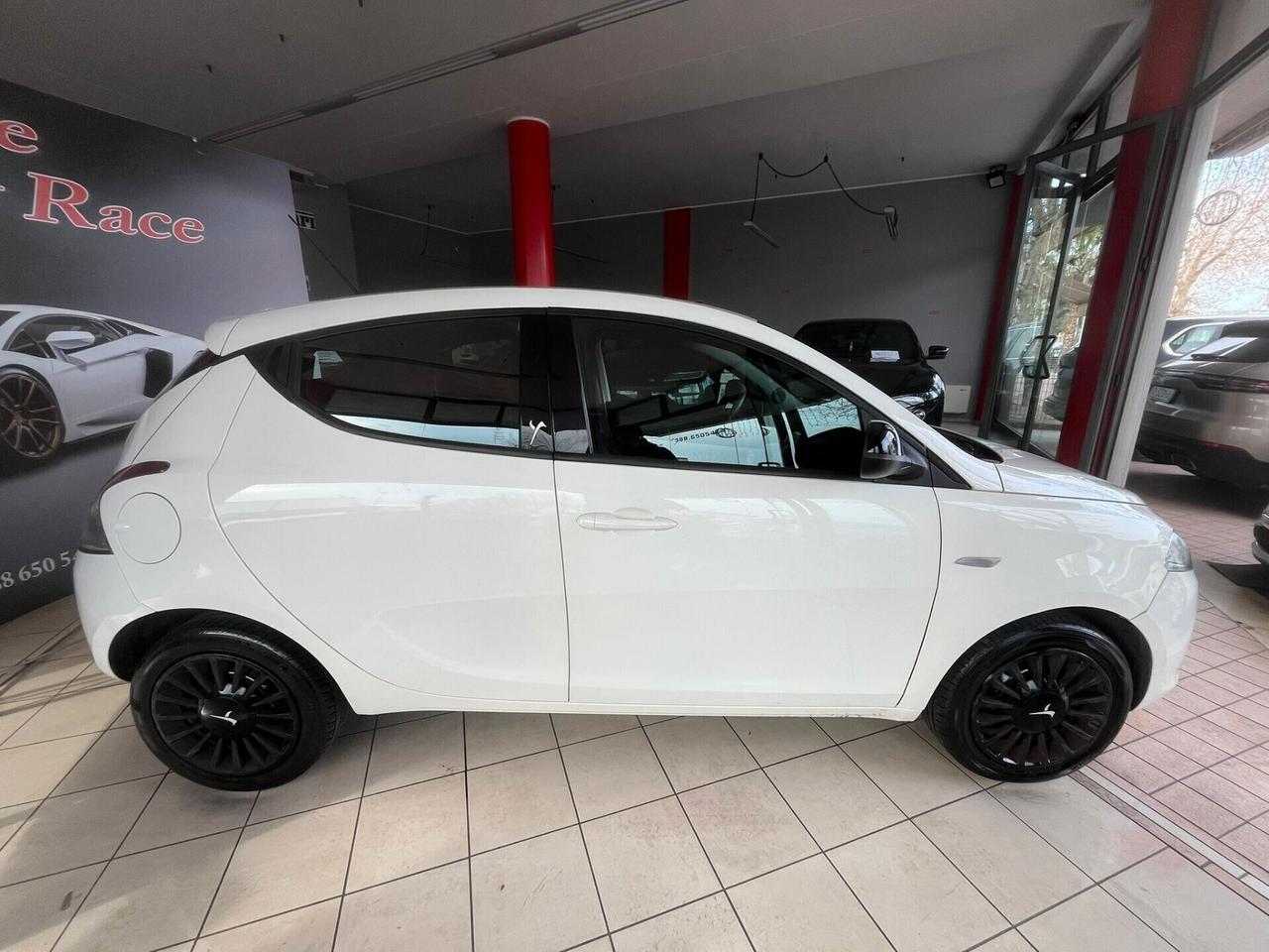 Lancia Ypsilon 1.2 69 CV 5 porte GPL Ecochic Elefantino