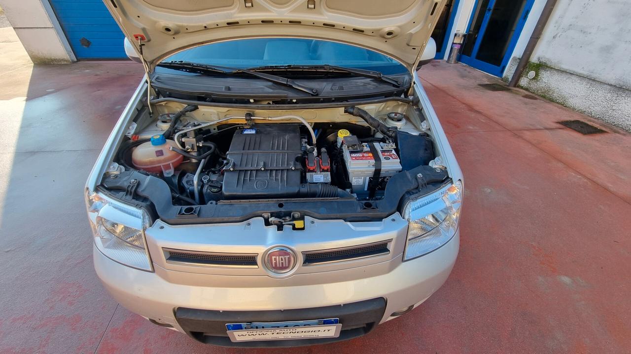 Fiat Panda 1.4 BENZINA METANO KM 97.000 DISTRIBUZIONE FATTA