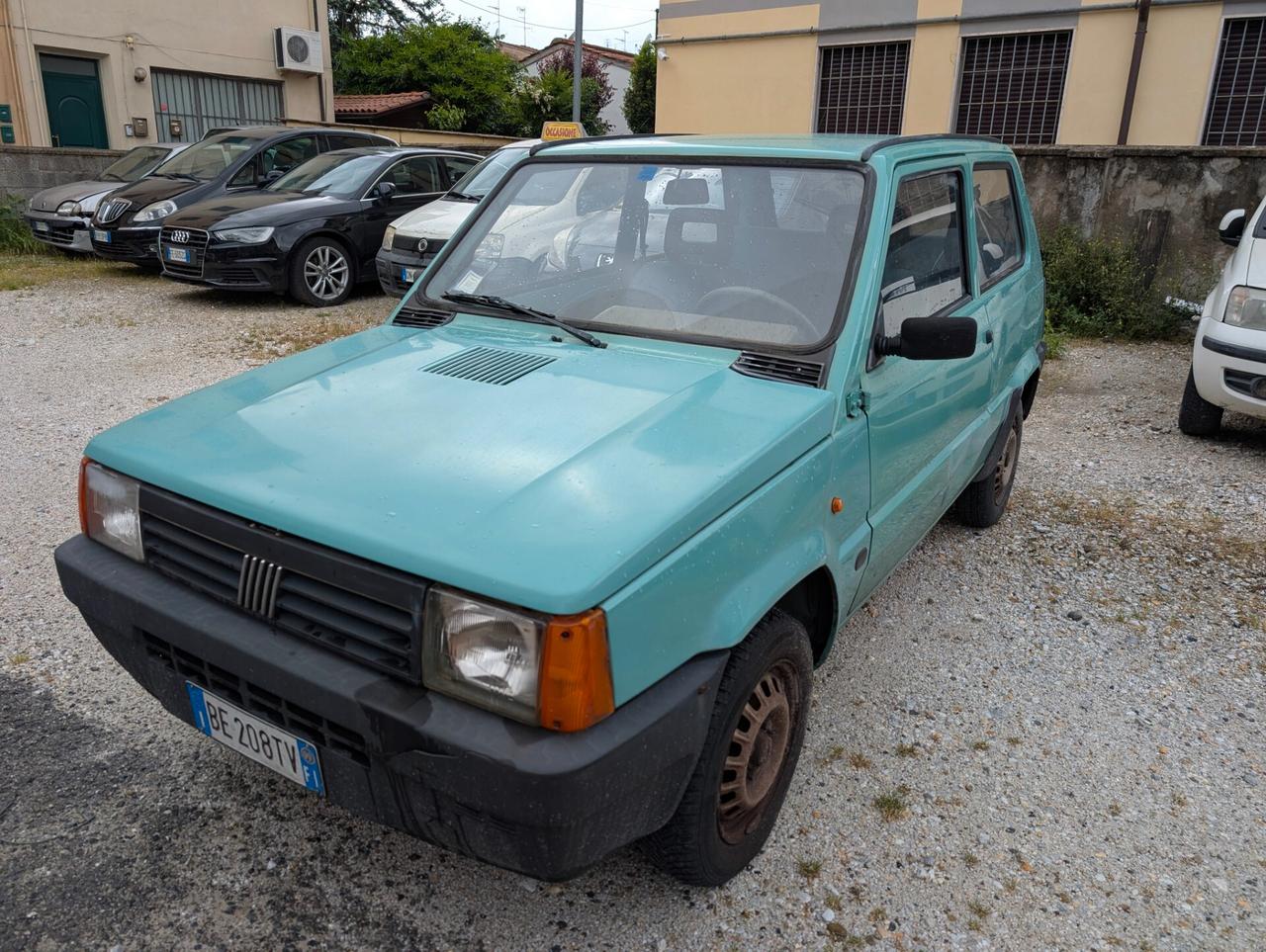 Fiat Panda 900 i.e. cat Young