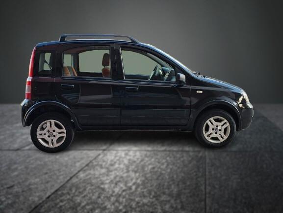 Fiat Panda 1.2 Climbing Natural Power