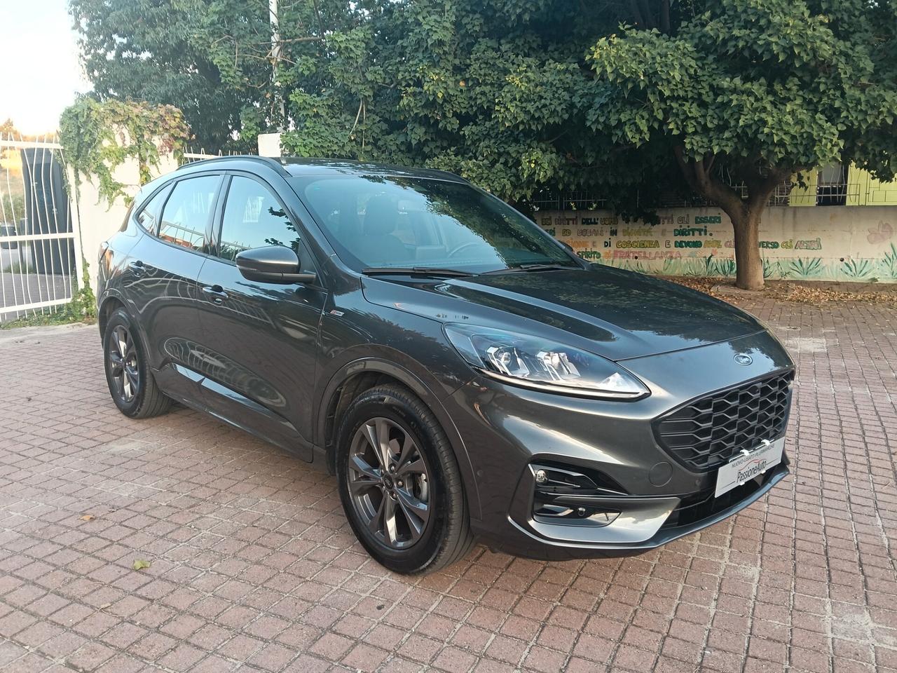 Ford Kuga 1.5 EcoBlue 120 CV 2WD ST-Line