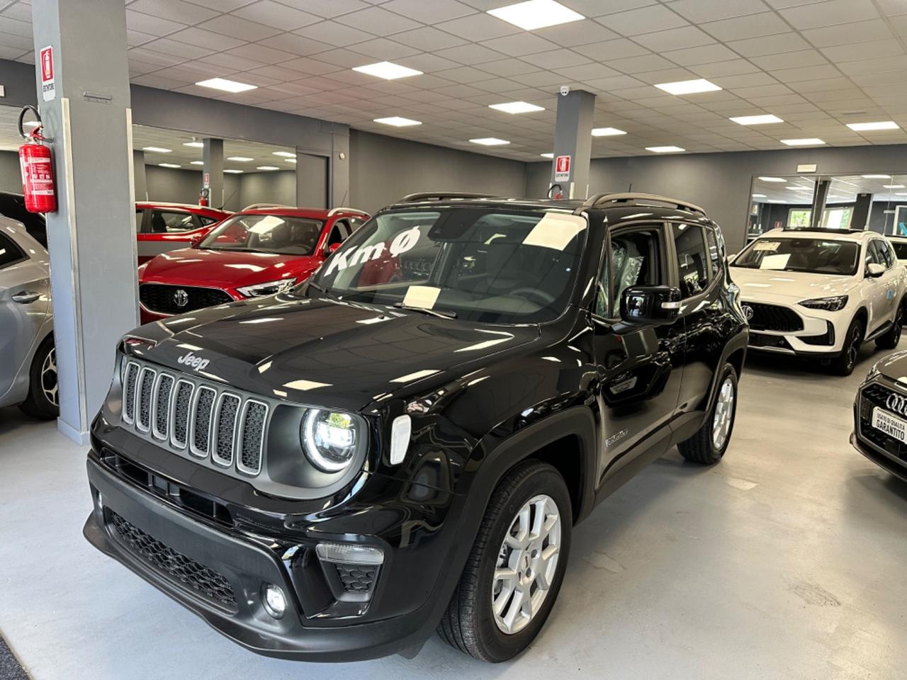 Jeep Renegade 1.6 Mjt 130 CV Limited Accessori